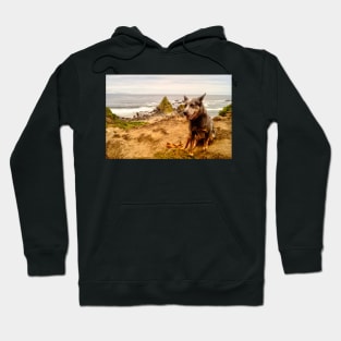 llb blue heeler Hoodie